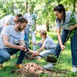 young volunteers planting trees in green park together